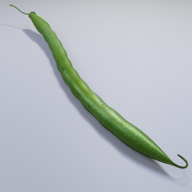 Green Bean 3D Model .c4d .max .obj .3ds .fbx .stl .blend 