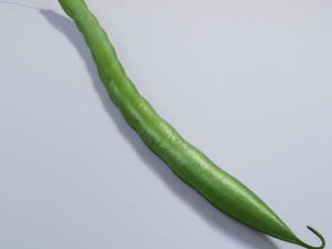 Kacang Hijau Model 3D