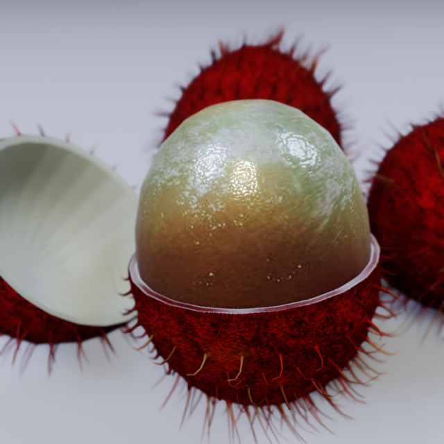 Rambutan Model 3D .c4d .max .obj .3ds .fbx .stl .blend 