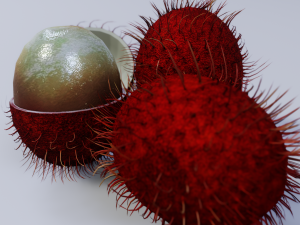 Rambutan Model 3D