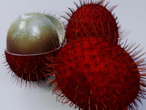 Rambutan Modello 3D