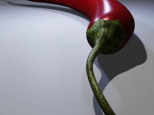 Chili Pepper 3D Model