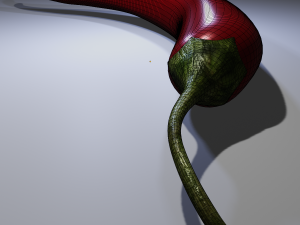 Chili Pepper 3Dモデル