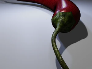 Chili Pepper 3D Model