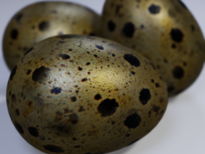 Quail Eggs Modelo 3D