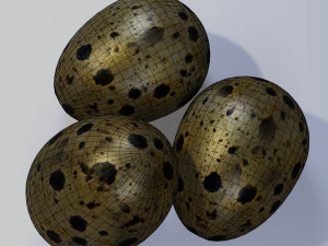Quail Eggs 3D Model