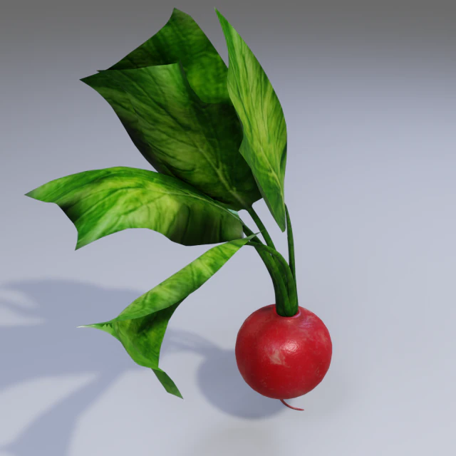 Radish 3D Model .c4d .max .obj .3ds .fbx .stl .blend 