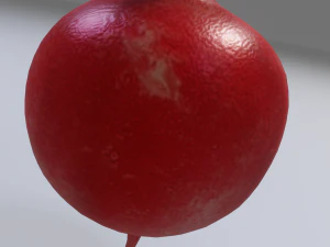 Radish 3D Model