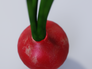 Radish Modelo 3D