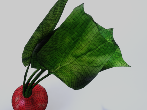 Radish Modelo 3D