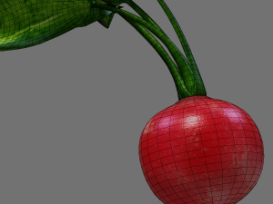 Radish Modelo 3D