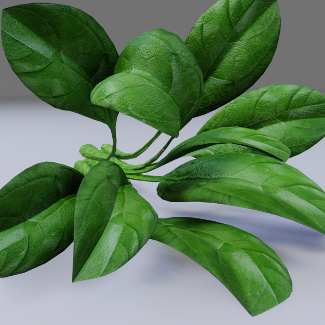 Spinach Model 3D .c4d .max .obj .3ds .fbx .stl .blend 