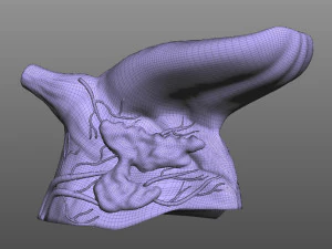 Human Tongue 3D Model