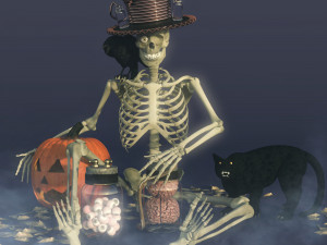 Lost Skull 3D 模型