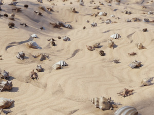 Seashell Collection Vol 1 3D Модель