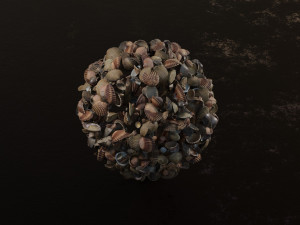Seashell Collection Vol 2 Modelo 3D