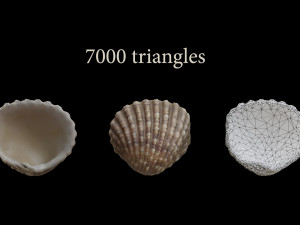 Seashell Collection Bundle 3D Model