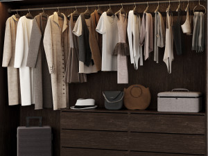 Walk-in closet with glass doors 3D मॉडल