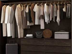 Walk-in closet with glass doors 3D Model