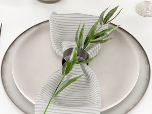 Apparecchiatura della tavola Modello 3D