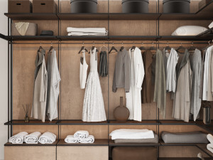 Wardrobe 36 Model 3D