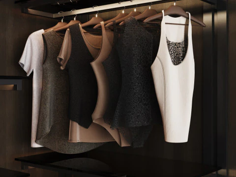 Guardaroba 46 Modello 3D