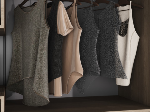 Wardrobe 47 3D Model