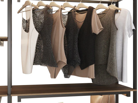 Wardrobe 49 3D Model