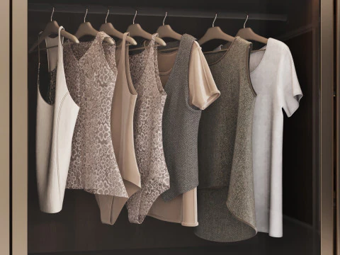 Wardrobe with filling 53 3D Model