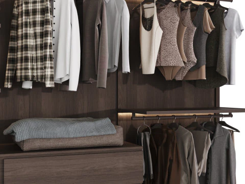 Wardrobe with filling 54 3D Model