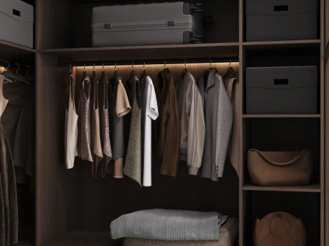 Wardrobe with filling 55 3D Model
