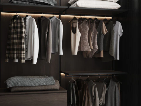 Wardrobe with filling 56 3D Model