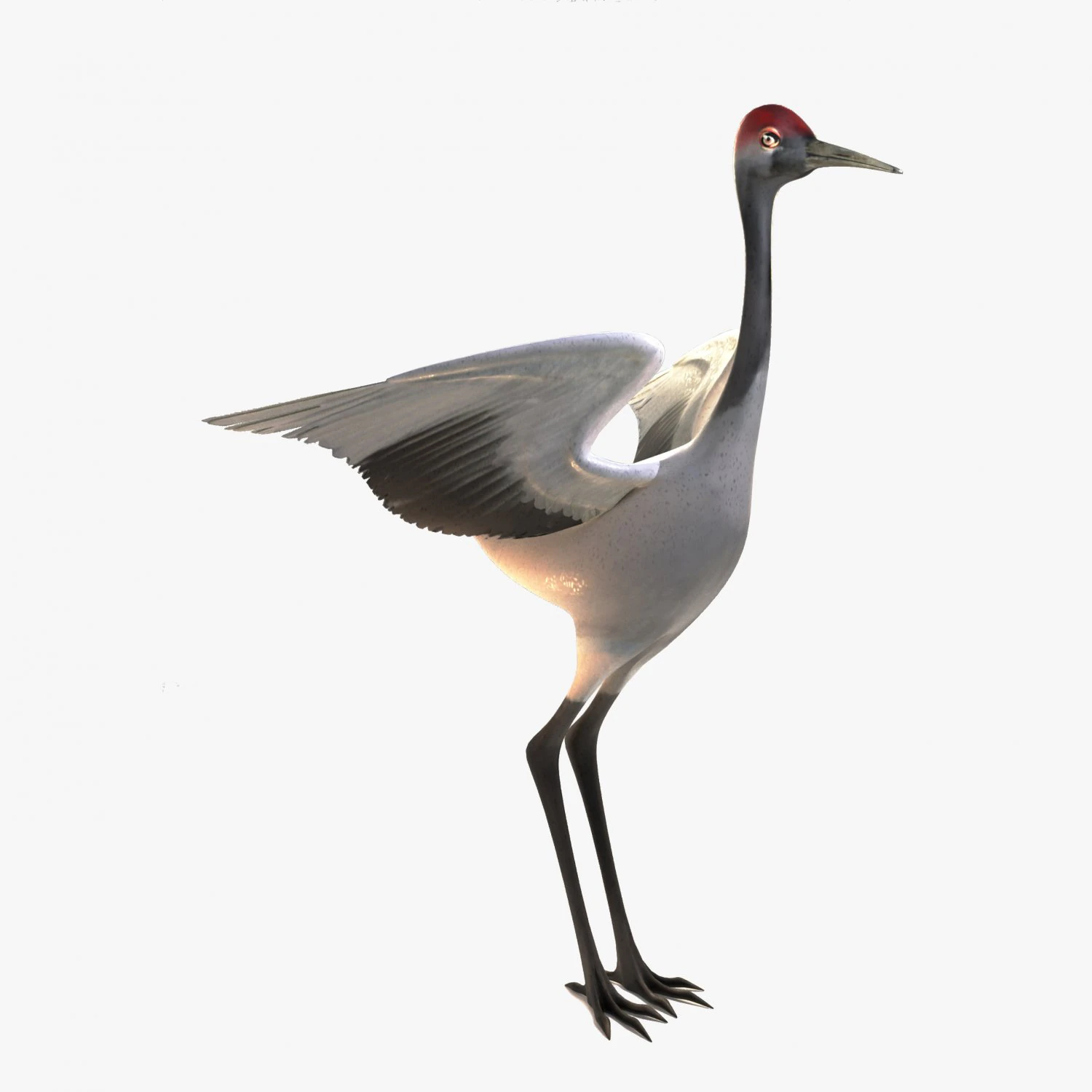 Crane 3D Model .c4d .max .obj .3ds .fbx .stl .blend 