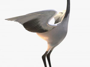 Crane 3D Model