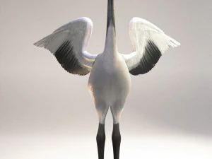 Crane 3D Model
