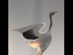 Crane 3D Model
