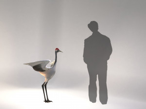 Crane 3D Model