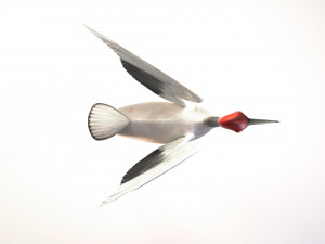Crane 3D Model