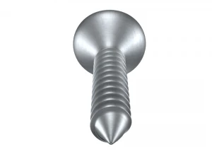 Screw High Quality 3D Model
