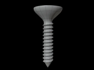 Screw High Quality 3D Model