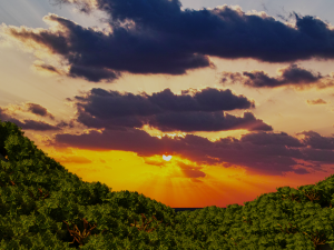 Mountains 3D Модель