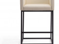 Manhattan Comfort Embassy Mid Century Modern Chair 3D Models