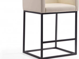 Manhattan Comfort Embassy Mid Century Modern Chair 3D Model