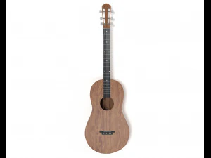 Standard guitar 3D Model