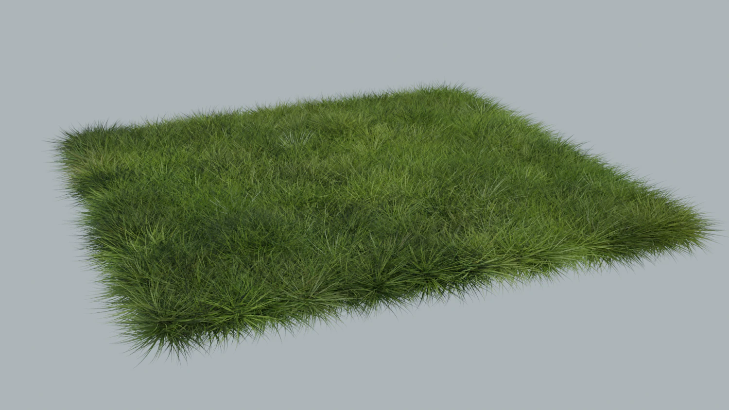 Grass 3D Model .c4d .max .obj .3ds .fbx .stl .blend 