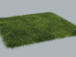 Grass 3D Model