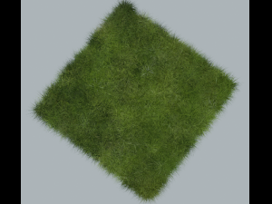 Grass 3D-Modell