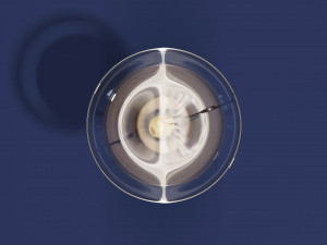 Drink Glass - Dry Martini Model 3D