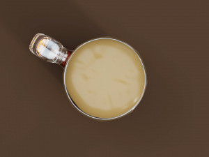 Glass Mug of Brown Ale 3D Model
