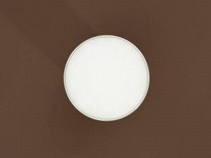 Drink Glass - Beer on Collins Glass Modelo 3D